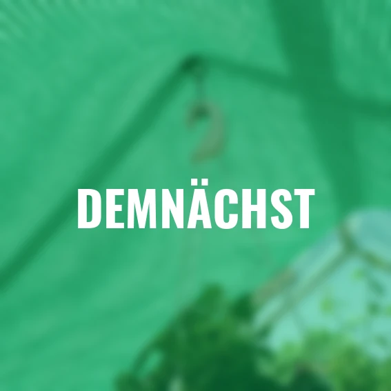 Schattennetz, 2,30 x2,65 m, grün