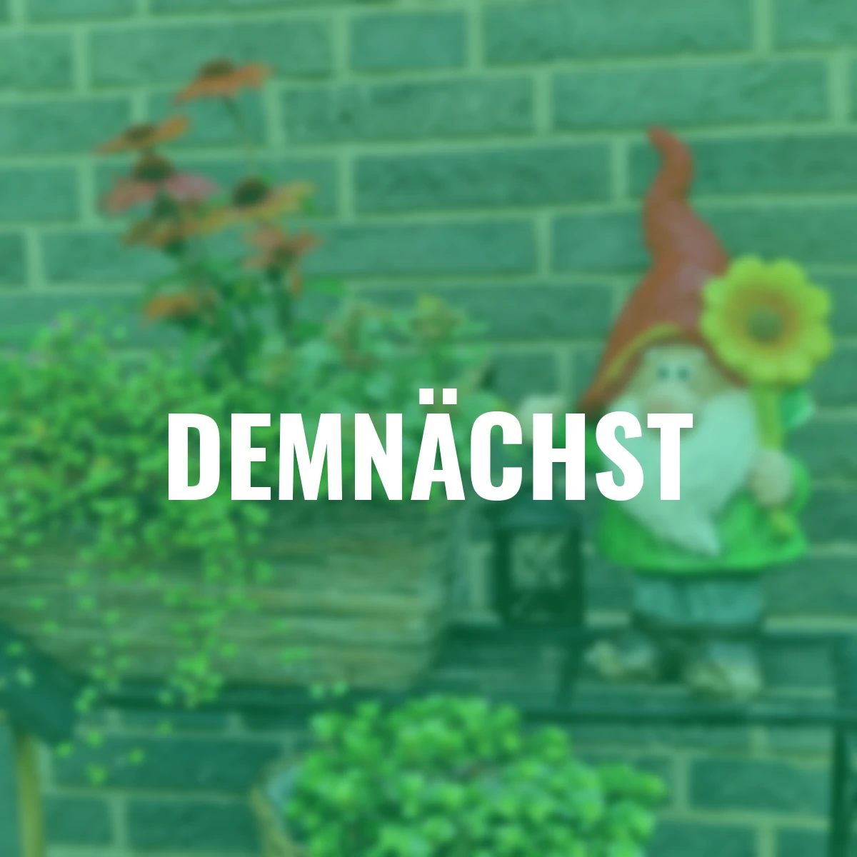 Zwerg mit Blume und Laterne, 37,5 cm