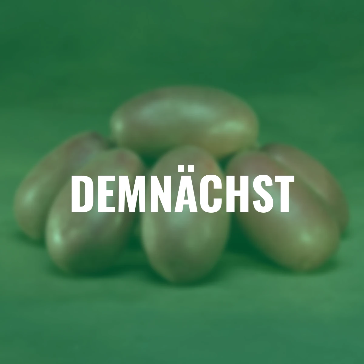 Kartoffel LunaRossa, 5 kg