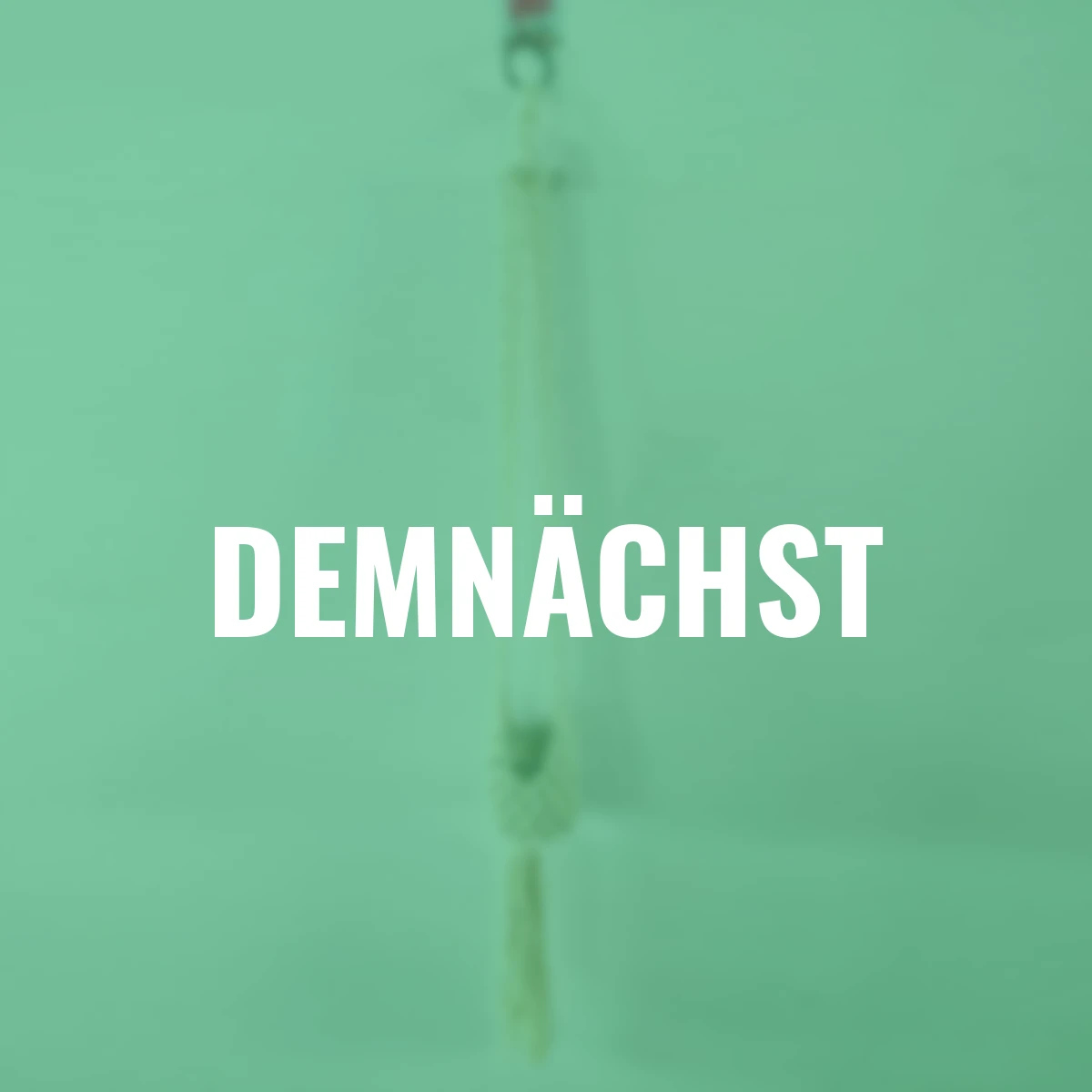 Hängebeutel mit Glaseinsatz