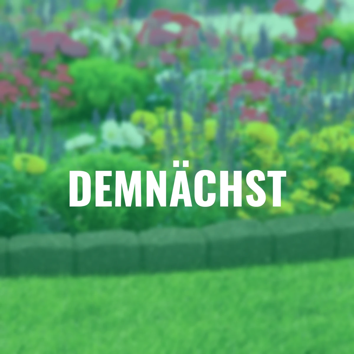 Rasenkante Stein 4er-Set, 480 cm, grau