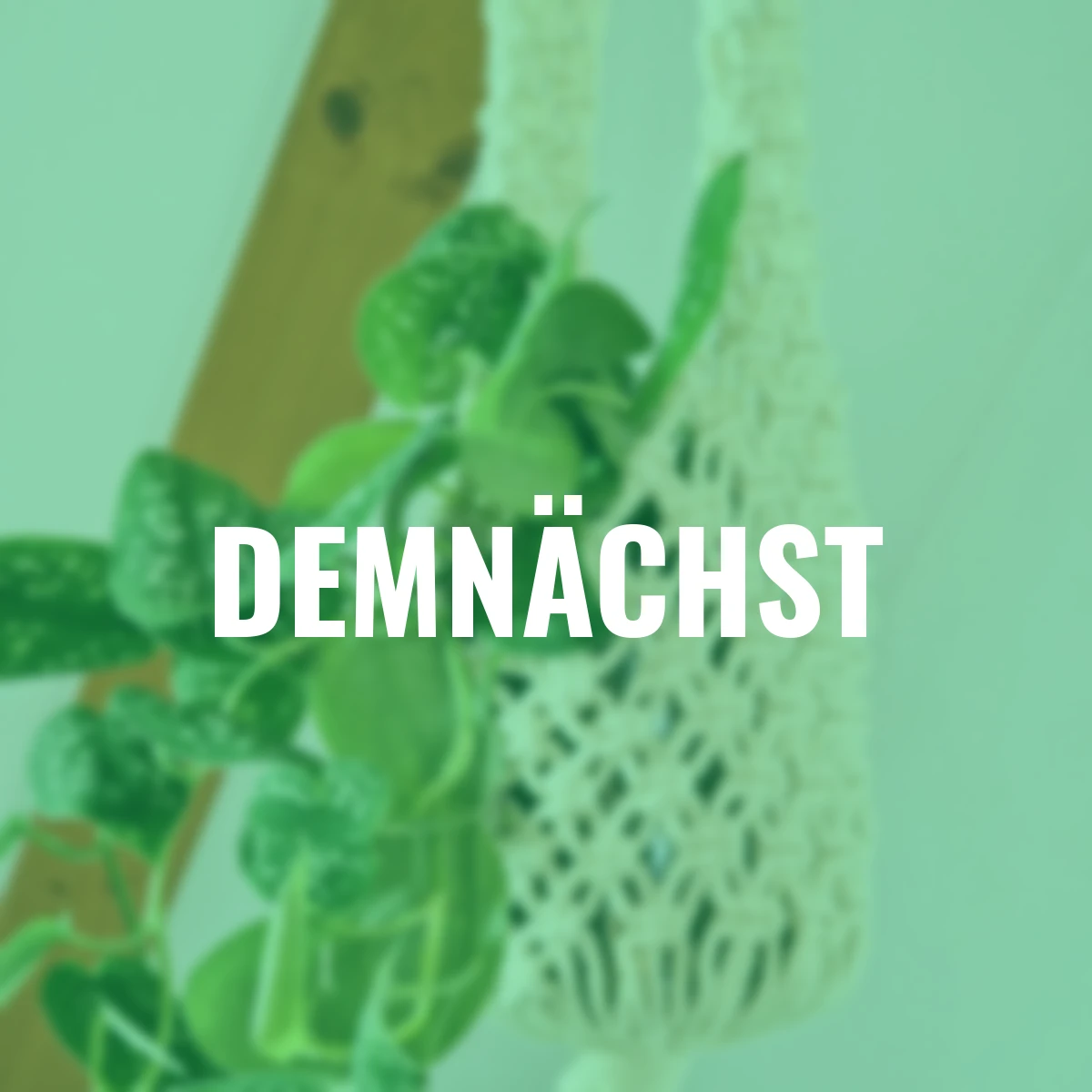 Hängebeutel mit Glaseinsatz