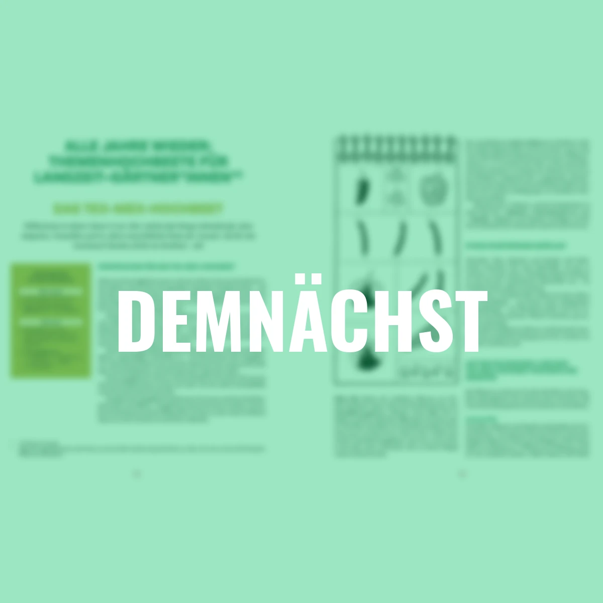 Das große Hochbeet-Buch