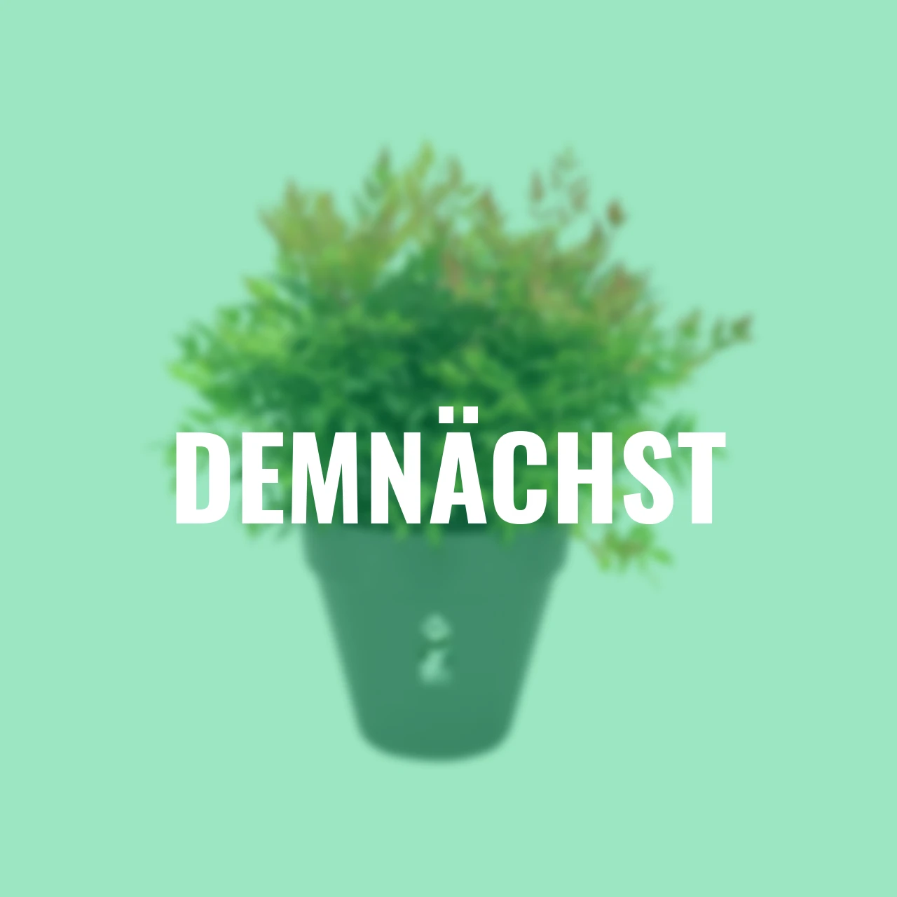 Pflanztopf Loft Urban 30 cm anthrazit