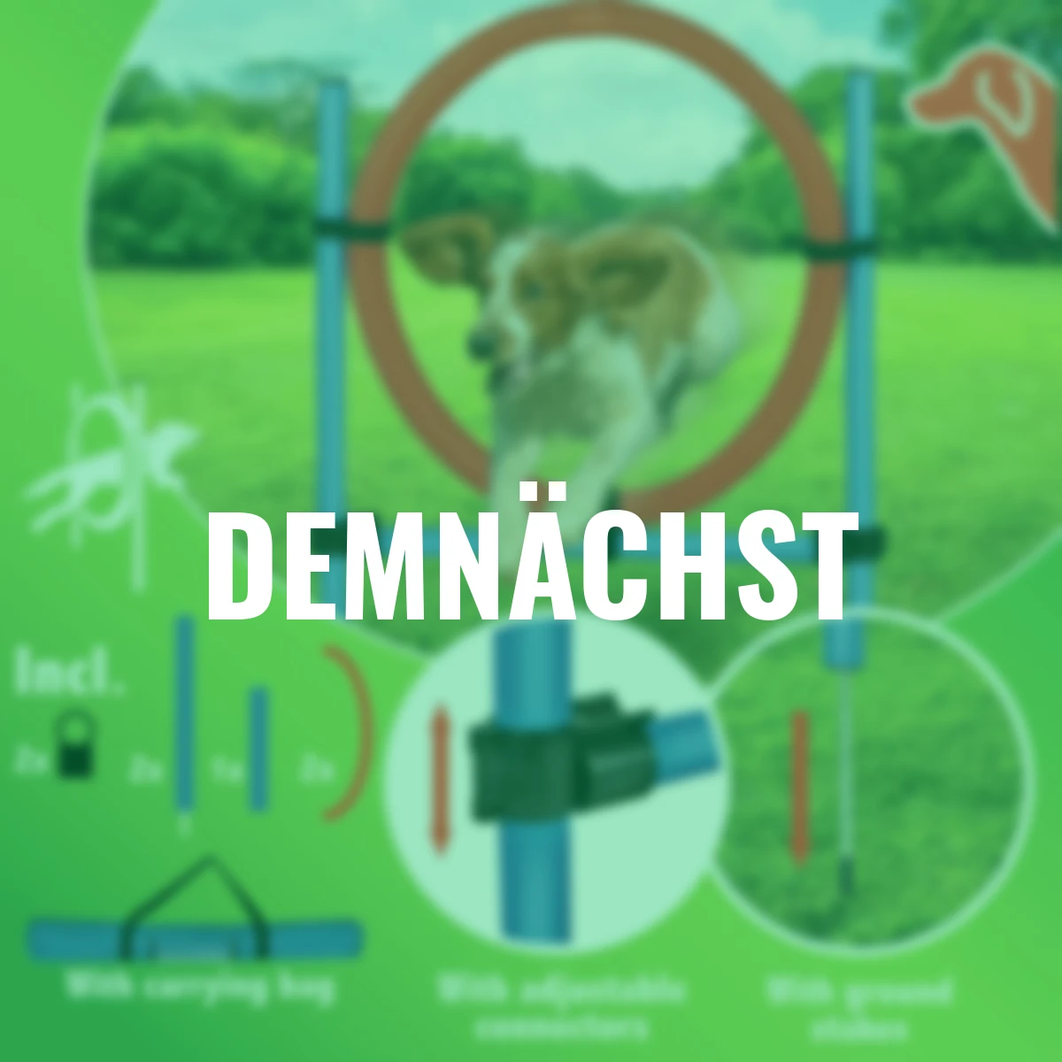 Agility-Set Hundesprungring, rot-blau, 11-teilig