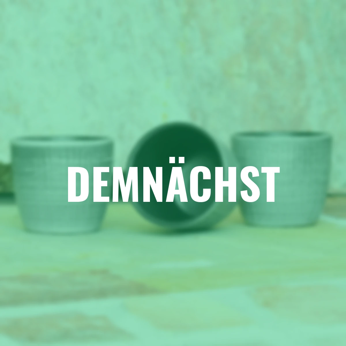 3er-Set Keramik-Übertöpfe 6cm, Grau