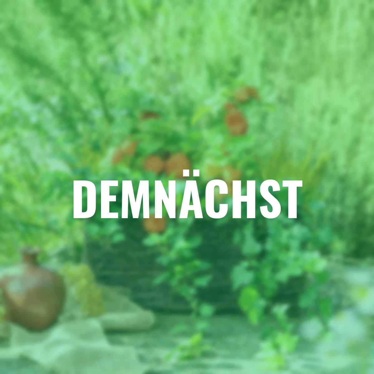 Set Herbstzauber-Trio