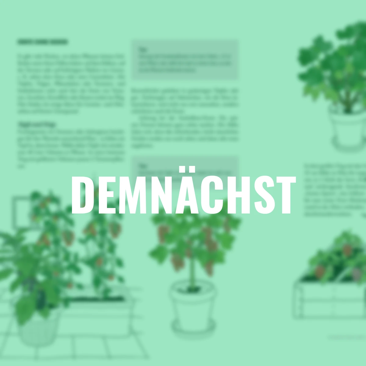 Das phänomenale Erntebeet