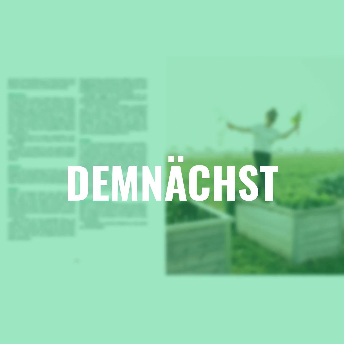 Das große Hochbeet-Buch