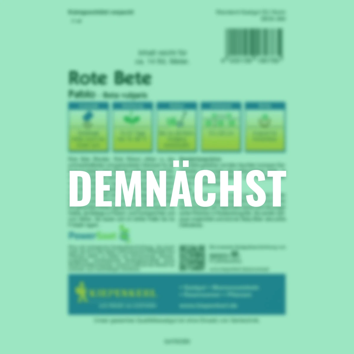 Rote Rüben Pablo PowerSaat