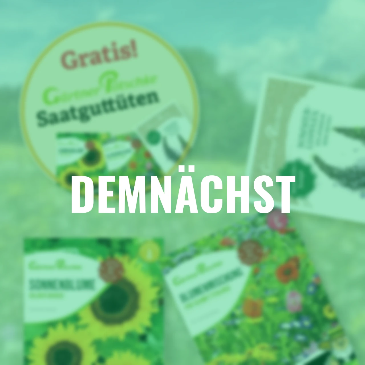 Honig Geschenkset – 24 Sorten & bienenfreundliches Saatgut