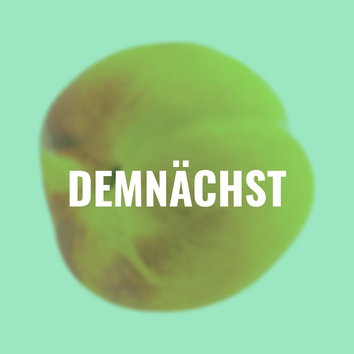 Zwergobst Pfirsich Bonanza