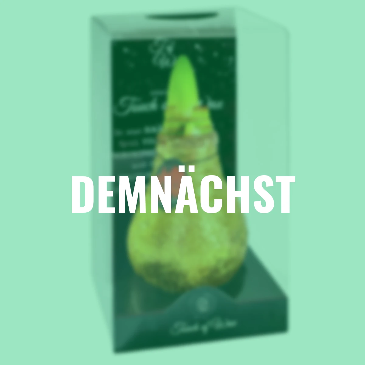 Amaryllis Wax, Touch of Magic Gold