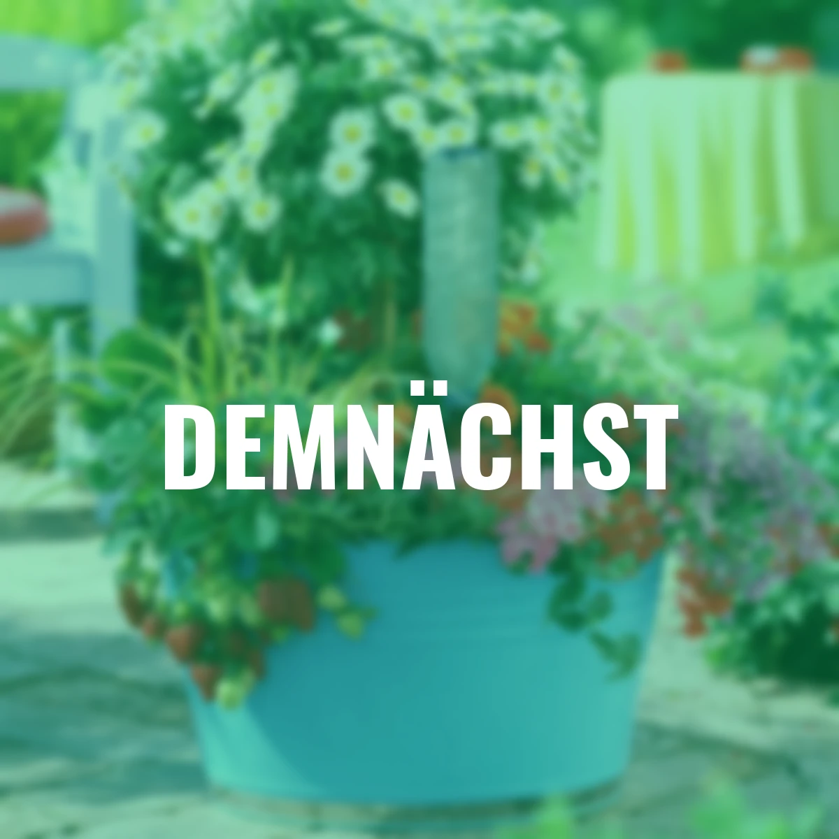 Flaschenadapter Easy