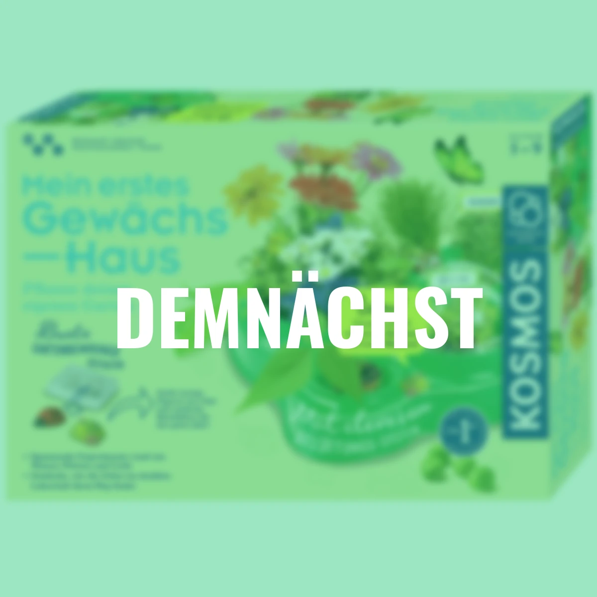 Mein erstes Gewächshaus, mint, Experimentierkasten