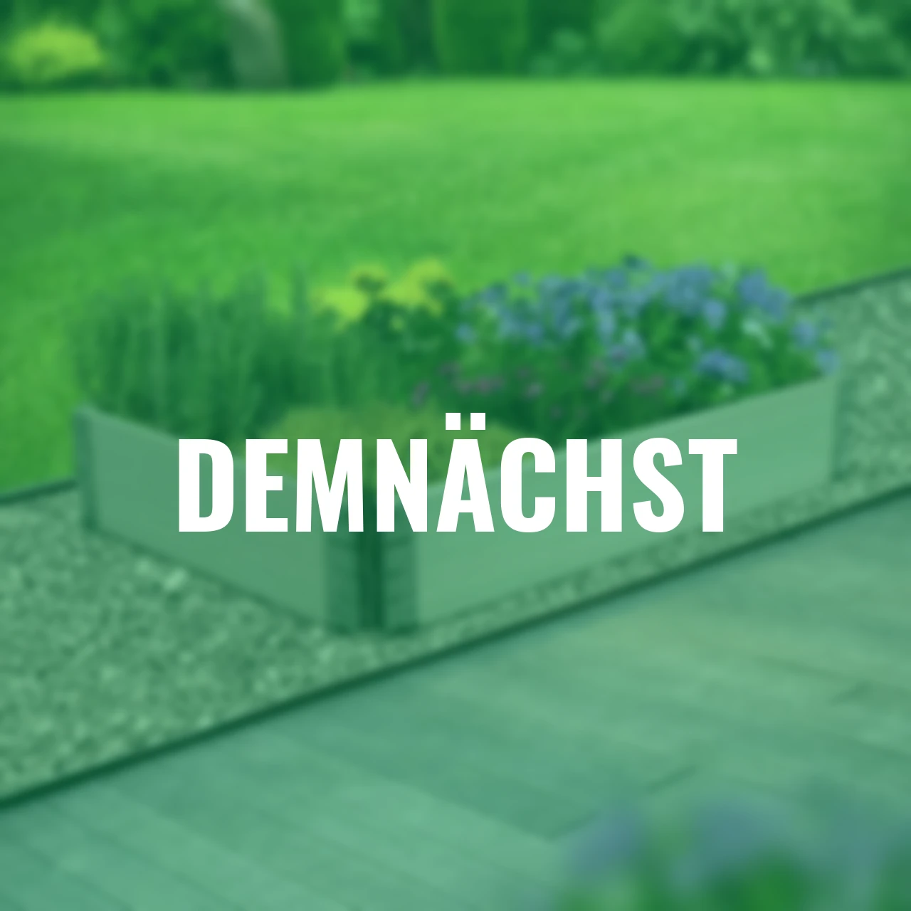 Frühbeet-Umrandung, grau