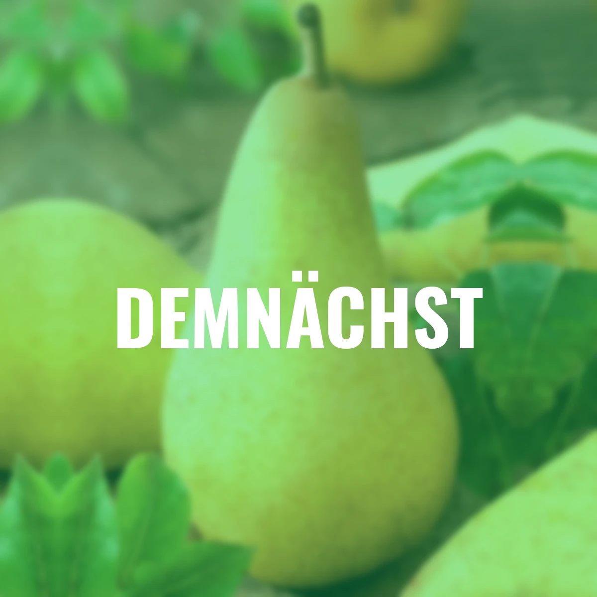 Säulen-Birne Obelisk®