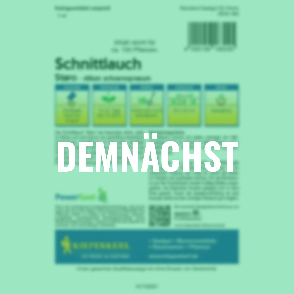 Schnittlauch Staro PowerSaat