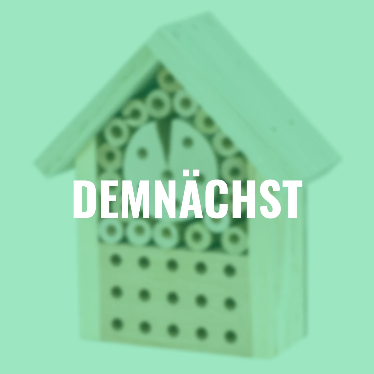 Insektenhotel Starter II, 19x8x22 cm