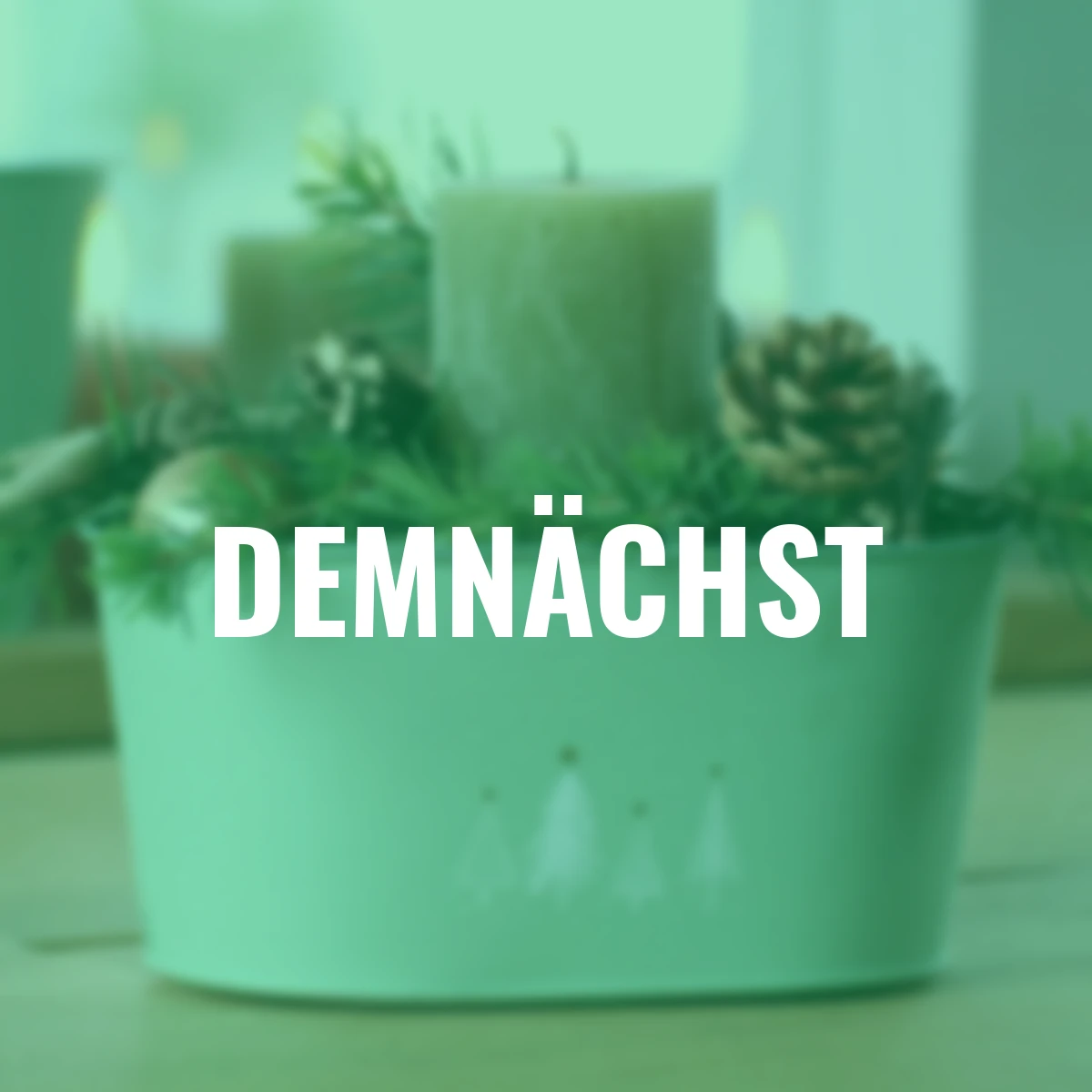 Pflanzschale, 2er-Set