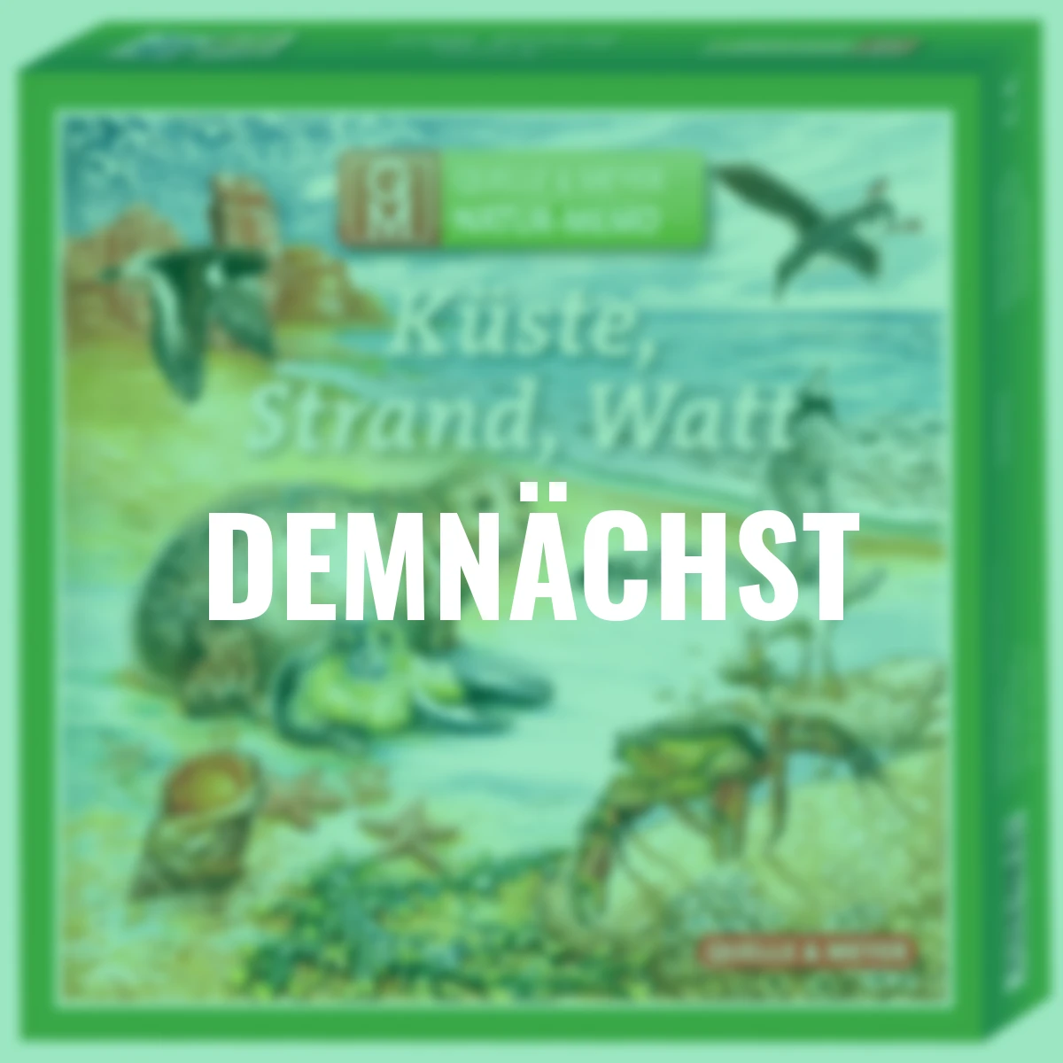 Natur-Memo Küste, Strand, Watt