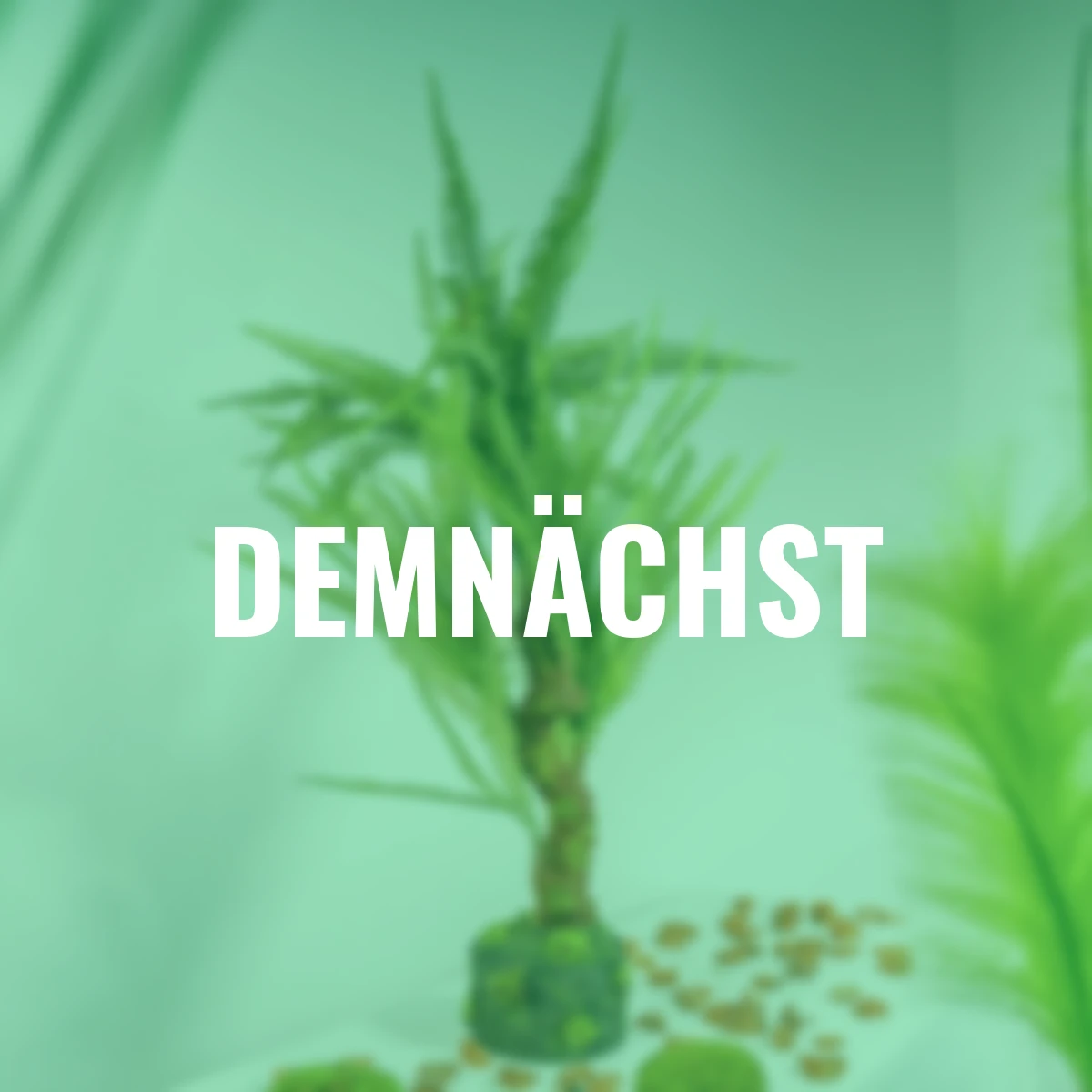 Kunstpflanze Farn im Erdballen, 63 cm