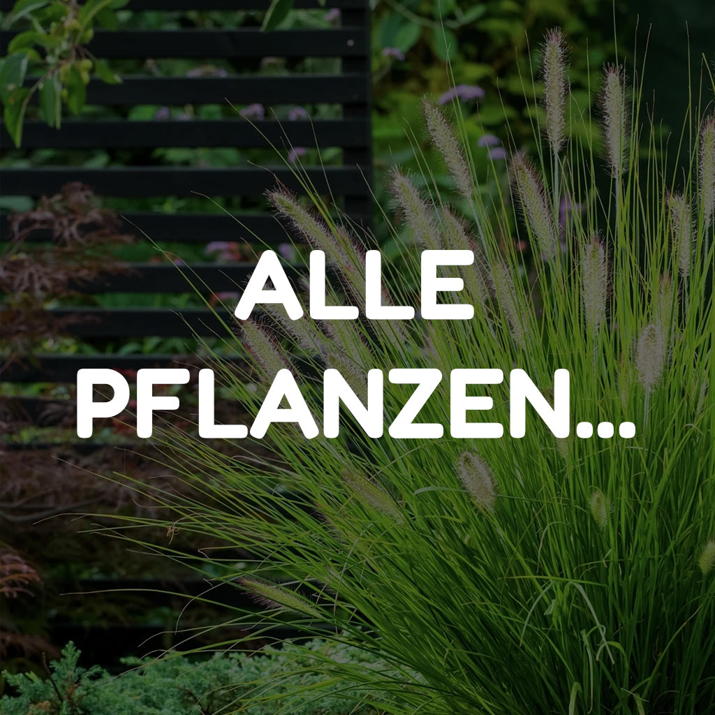 Alle Pflanzen