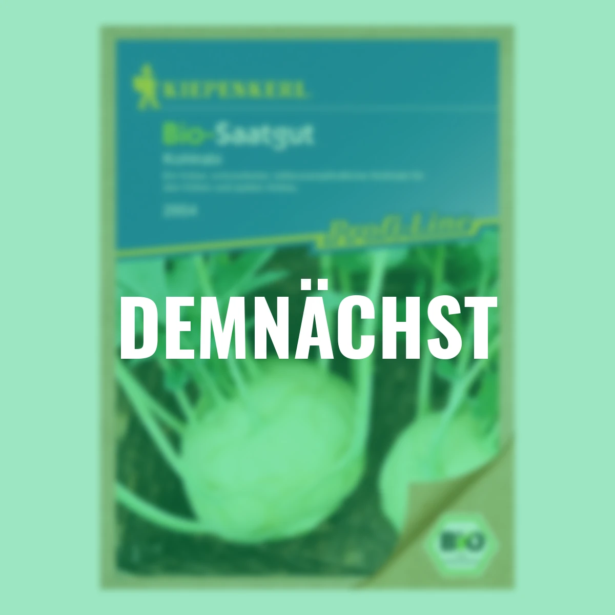 BIO Kohlrabisamen Noriko