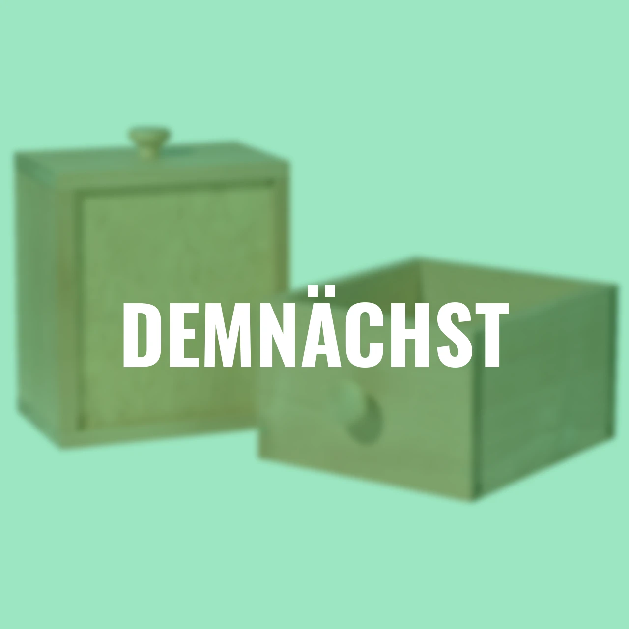 Pflanztisch mit Schubladen für die Wandmontage