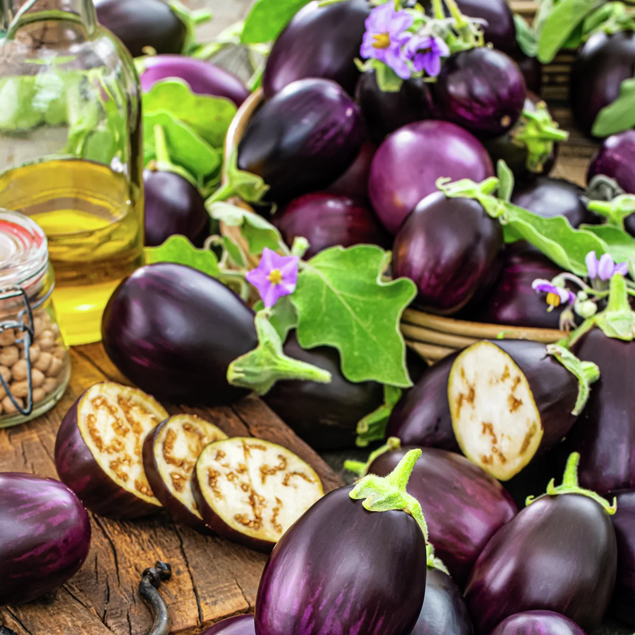 Auberginenpflanze Mini-Aubergine