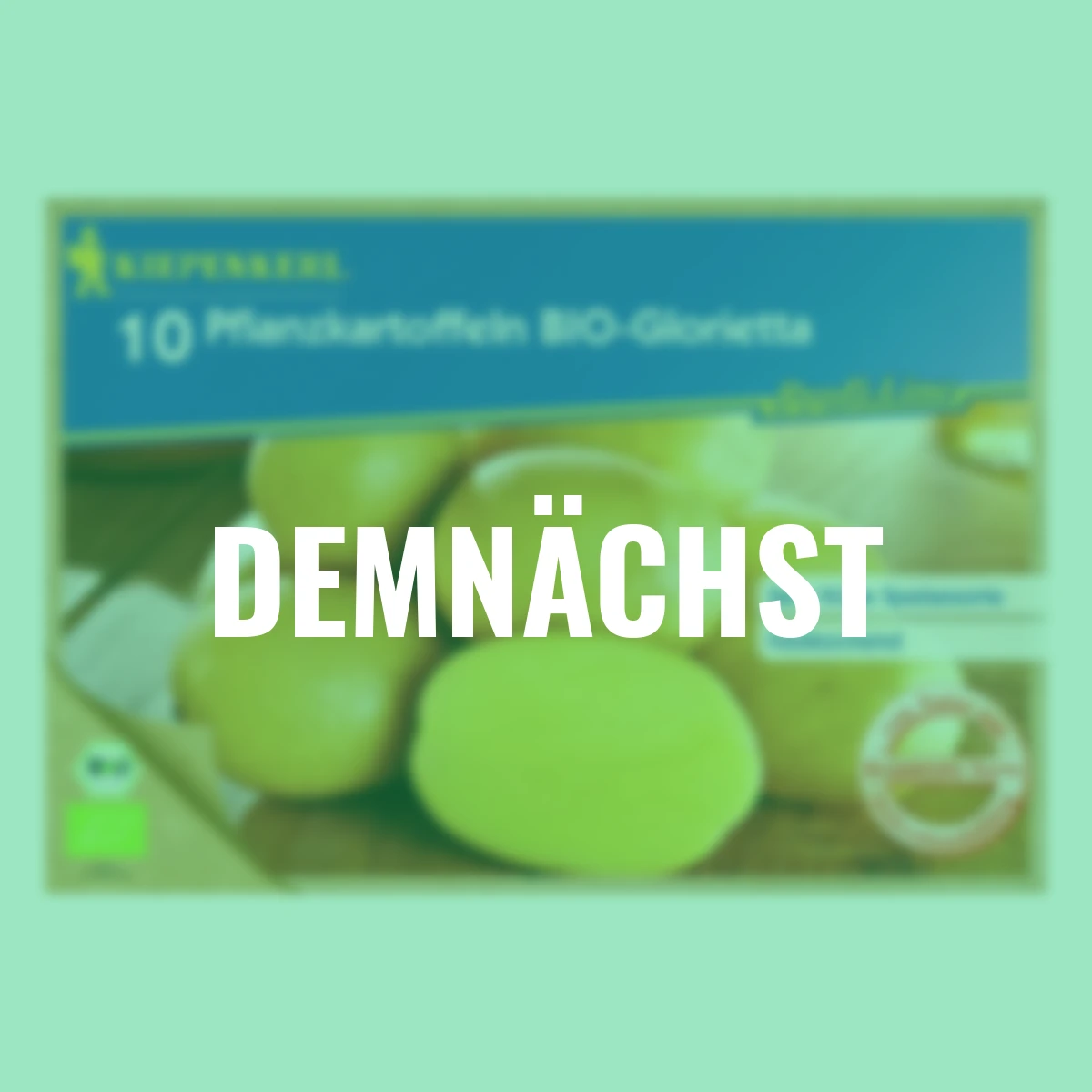 BIO Kartoffel Glorietta, 10 Stück