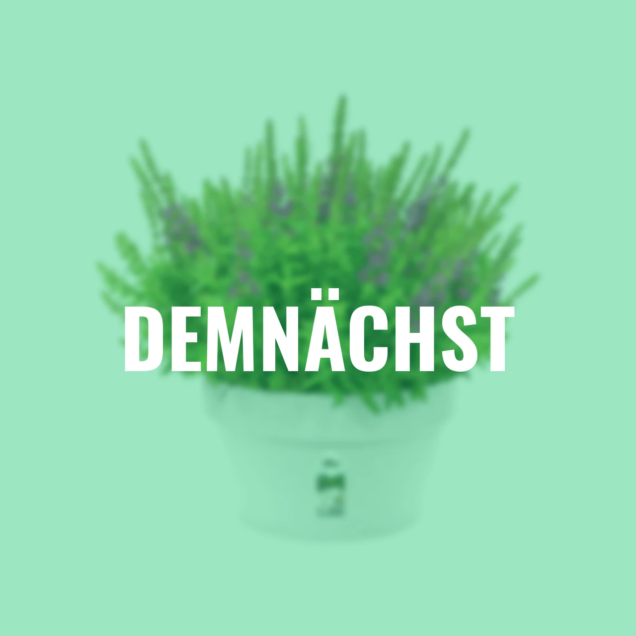 Pflanzschale Loft Urban 35 cm weiß