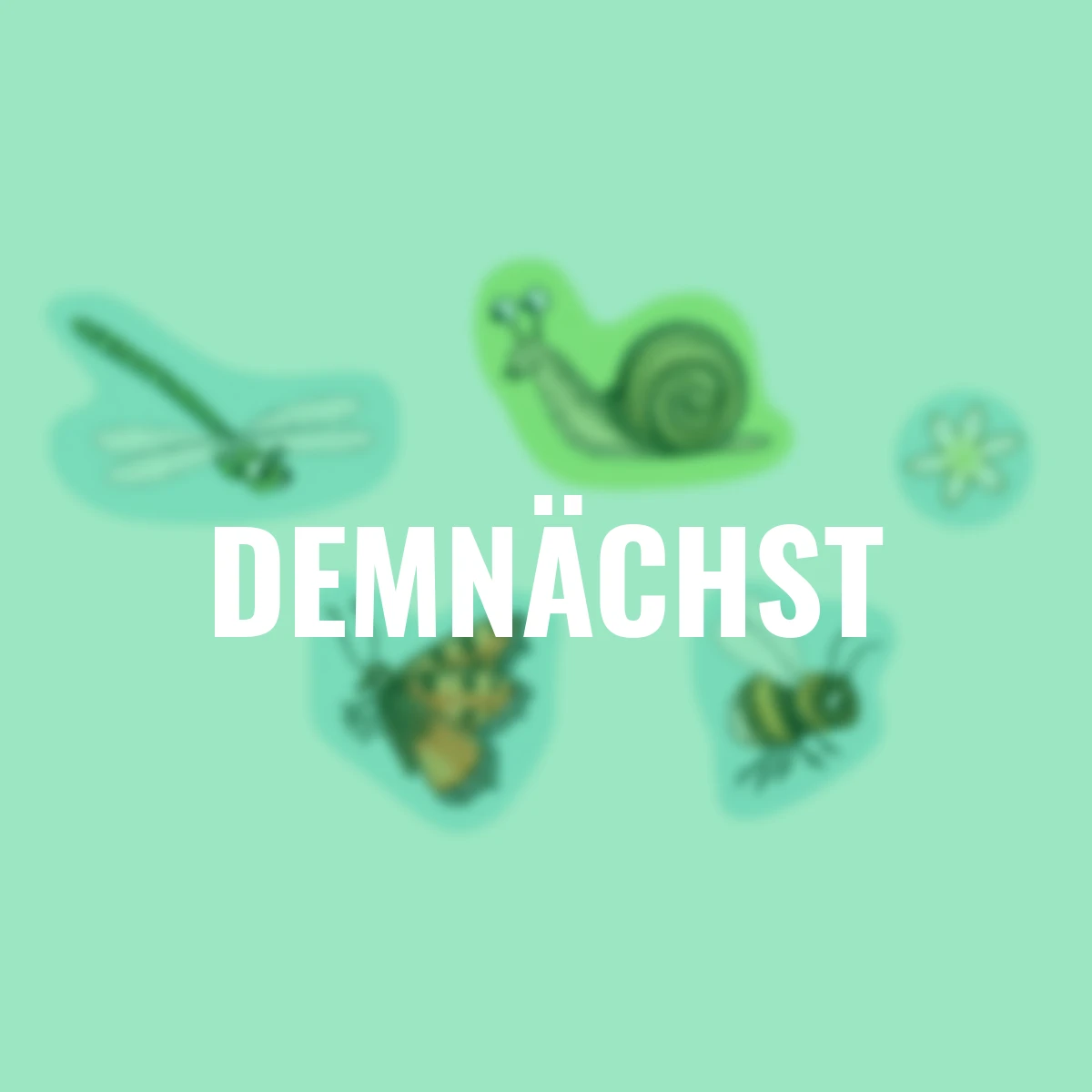 Natur-Stickerwelt: Tiere in Wald & Wiese (Nature Zoom)