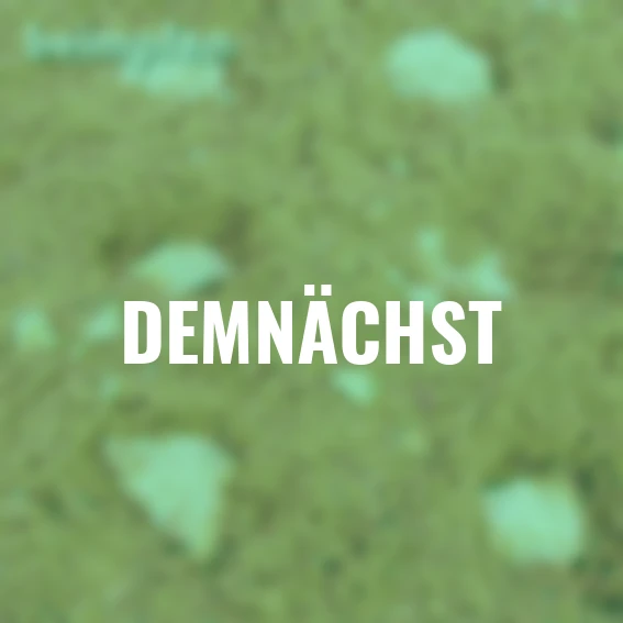 Pilzkultur-Set Braunkappe