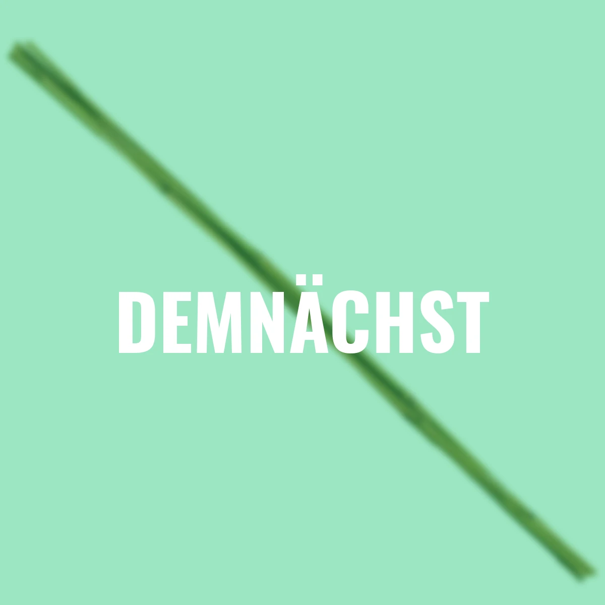 Bambusstäbe 5er-Set, 75cm