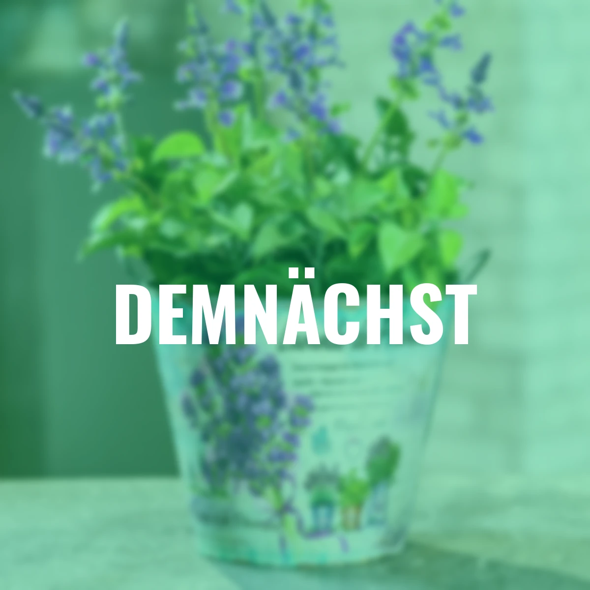 Zinktopf mit Lavendelmotiv, 2er Set, klein