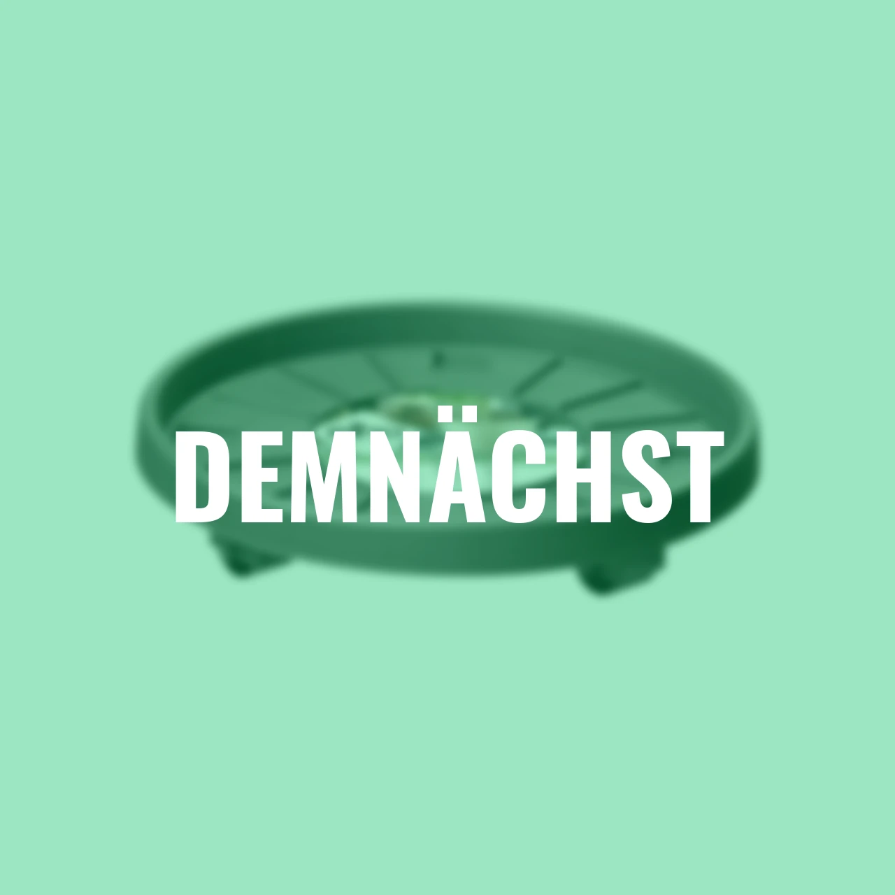 Kübelroller Planttaxi 30 cm