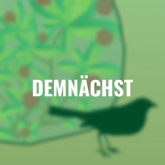 Vogelschutznetz, 10x2 m