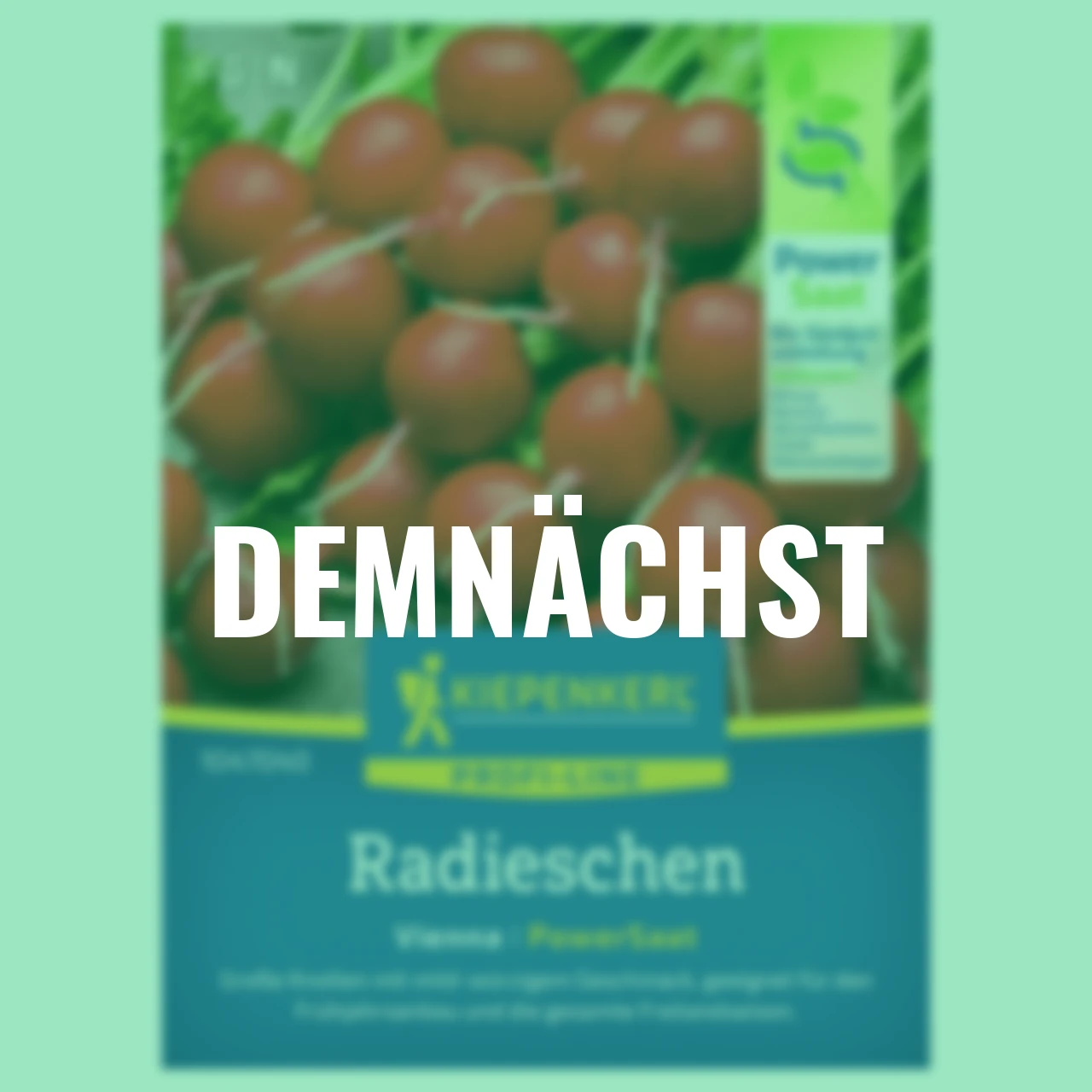 Radies Vienna PowerSaat