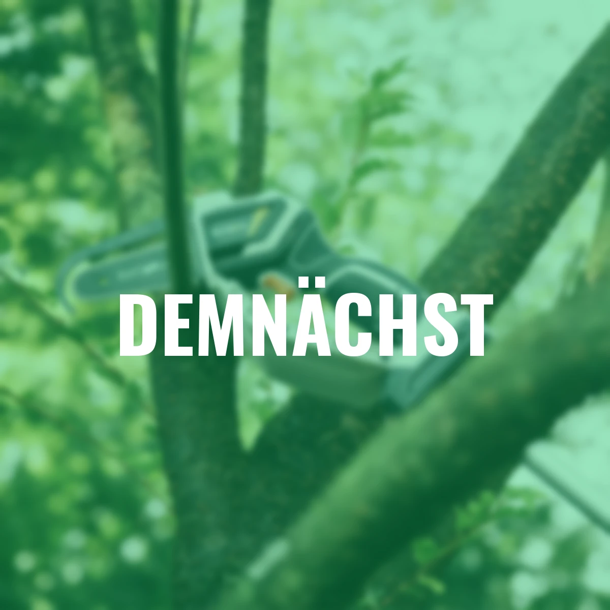 Nexxsaw Verlängerungsstiel 1,25m mit Schulterband