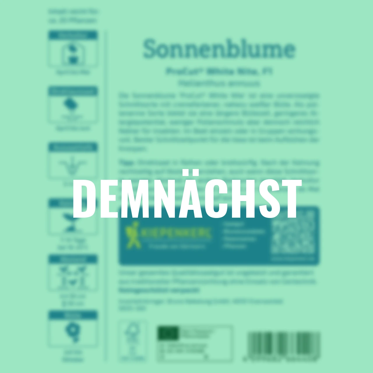 Sonnenblumensamen ProCut® White Nite F1