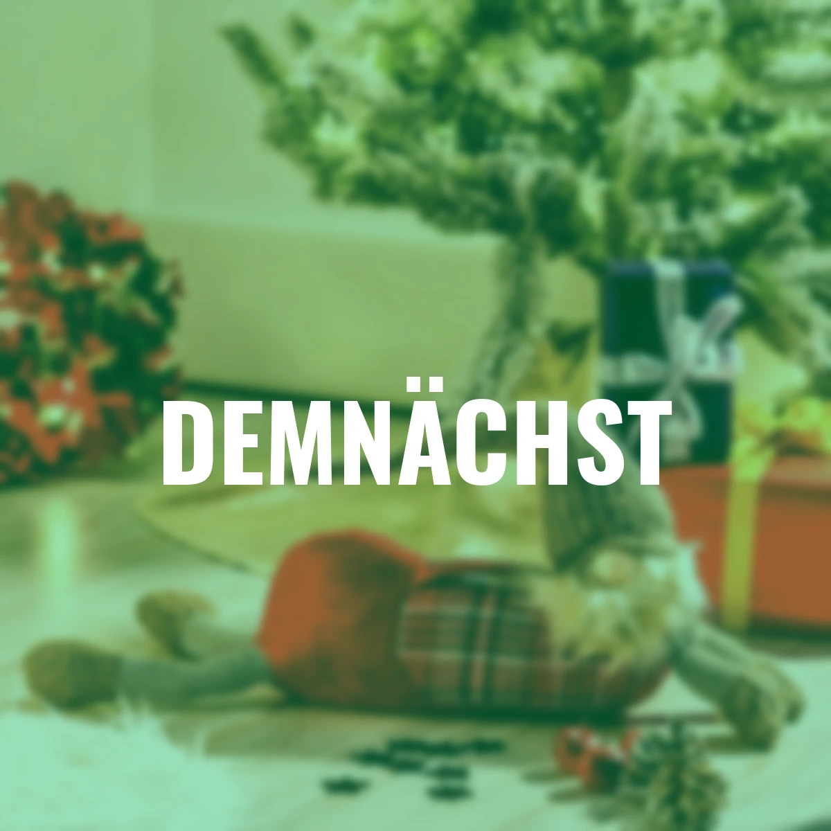 Adventswichtel Eric, 72x13x49 cm