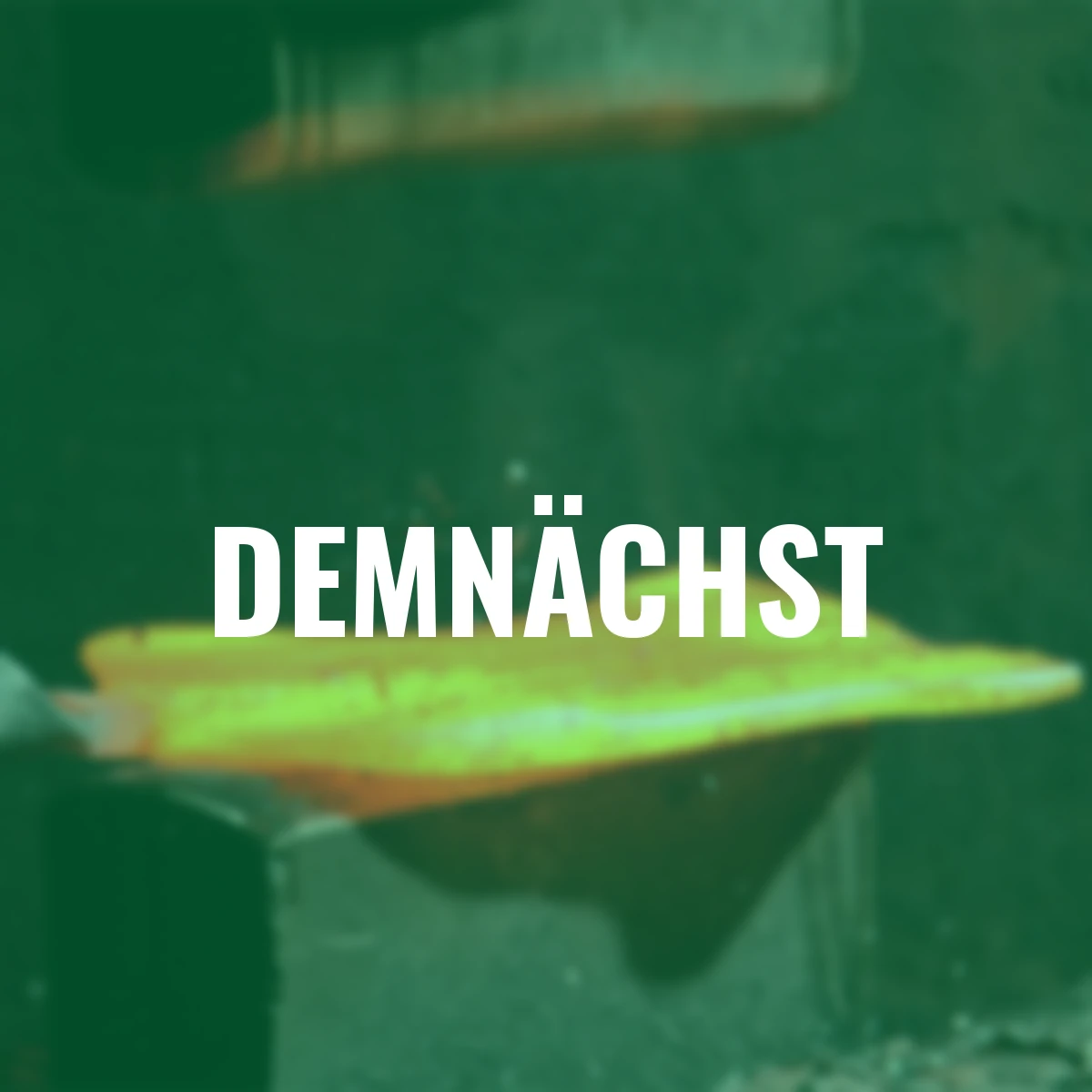 Hand-Pflanzkelle in Herzform, 28 cm