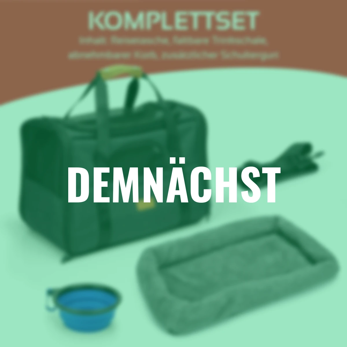 Reisetasche für Hund und Katze bis 5 kg, schwarz, 44x31x34 cm