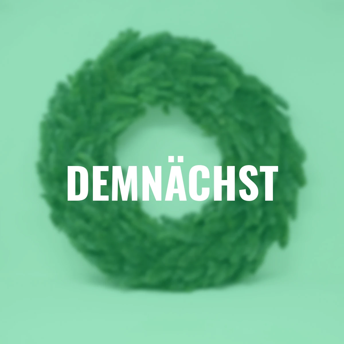 Nobilis-Kranz 40 cm Durchmesser, gebunden