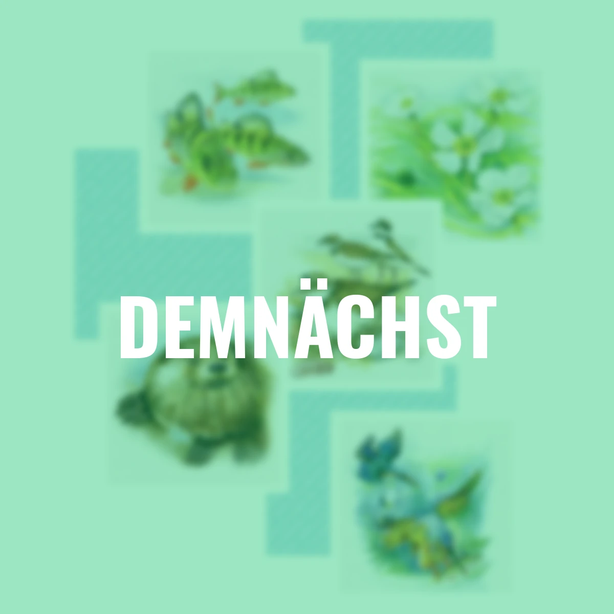 Natur-Memo Quellen, Bäche und Flüsse