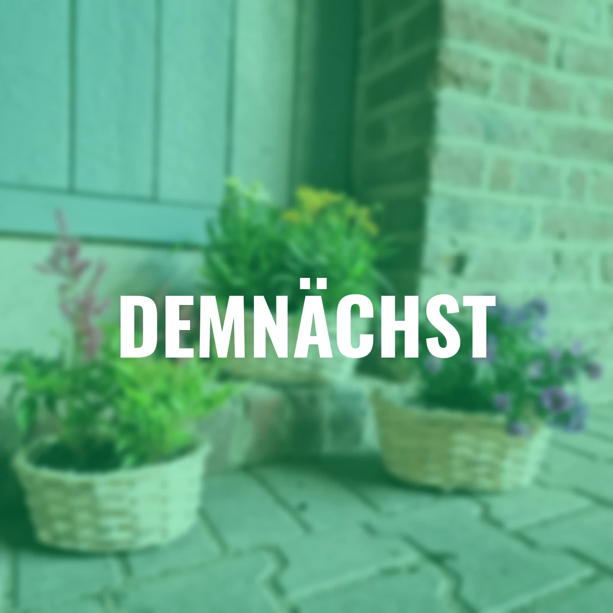 Holzspan-Korb, 3er-Set, rund, natur