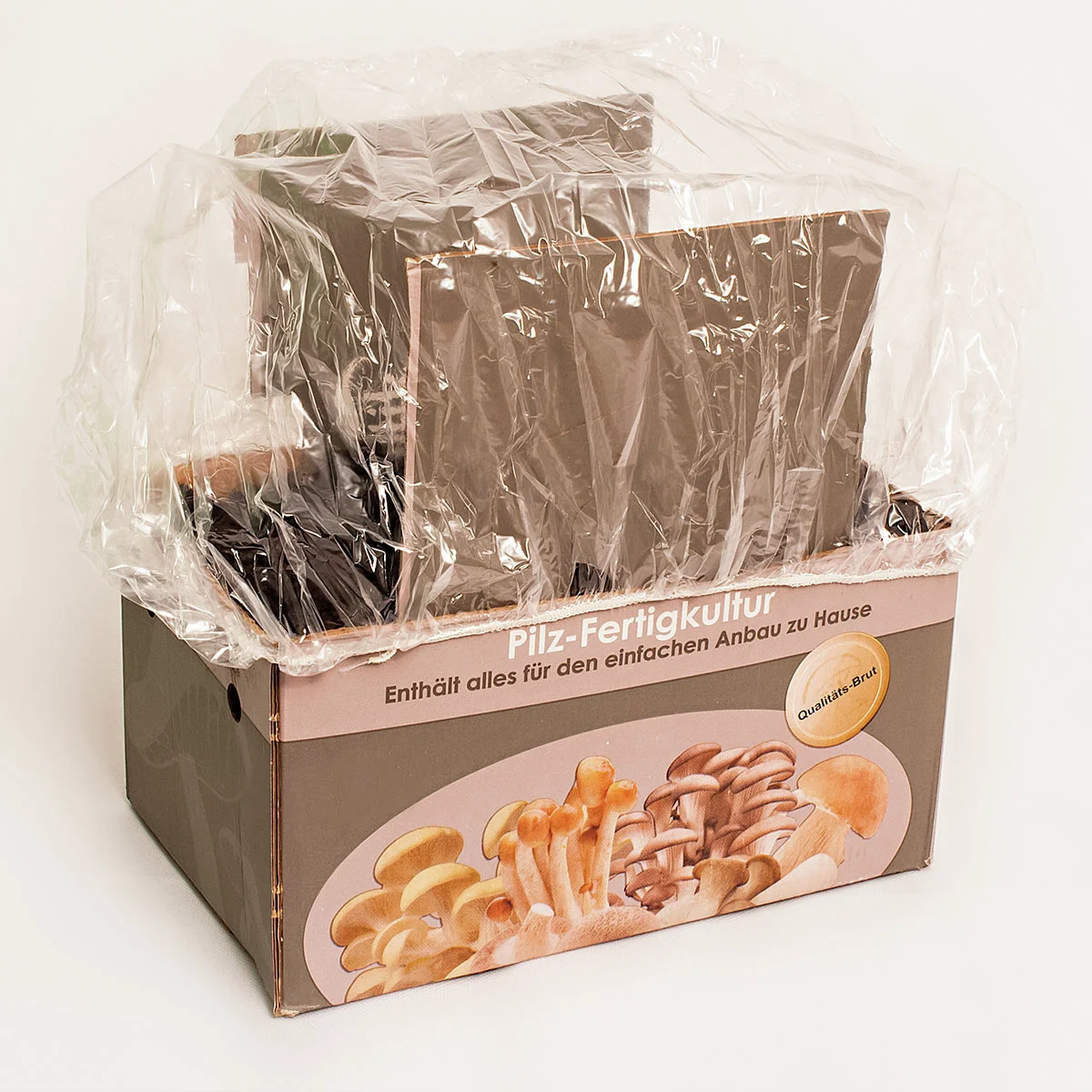 Pilzkultur-Set Weißer Champignon