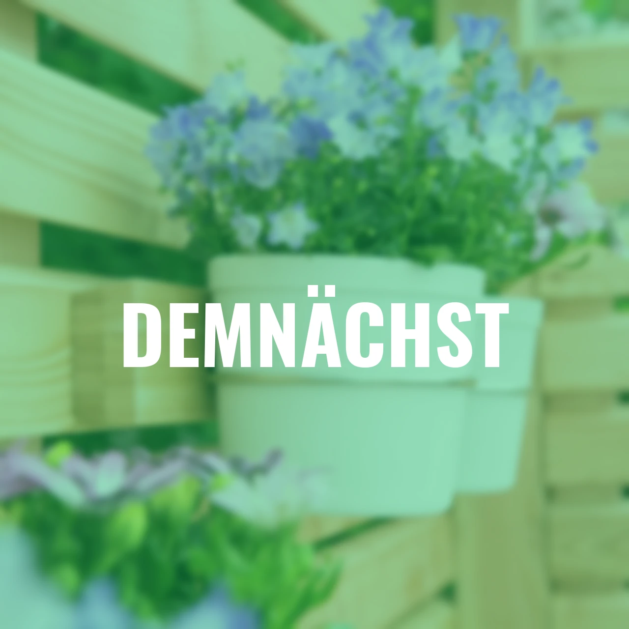 Kräuter-/ Blumenbalkon Halterung FLORES