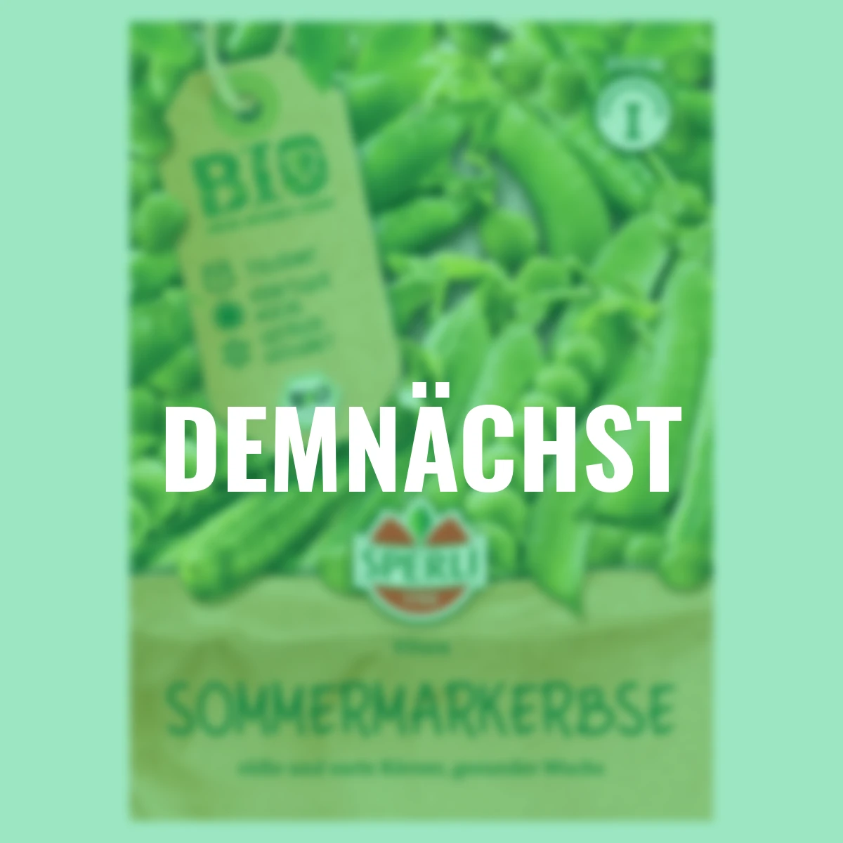 BIO Sommermarkerbsensamen
